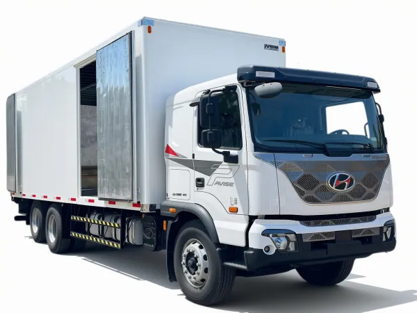 Carga general / Paquetera Hyundai Pavise