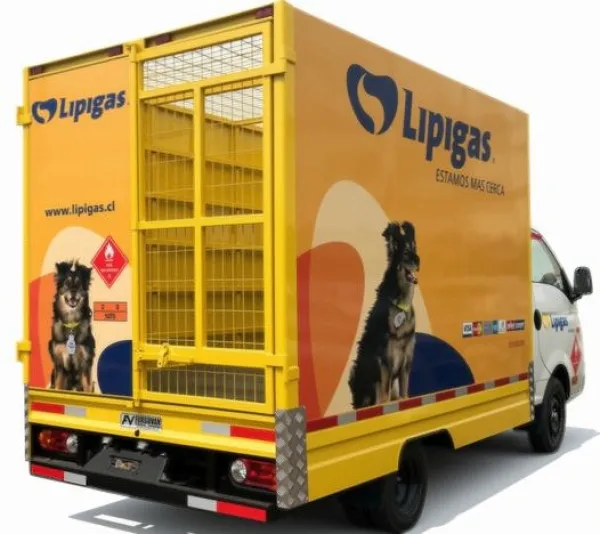 Gas Licuado Reparto Hyundai H100
