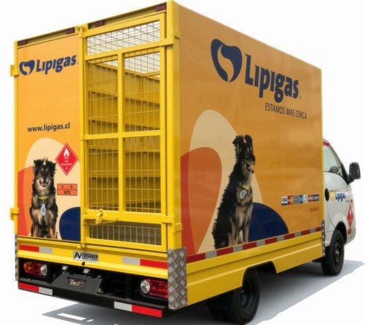 Gas Licuado Reparto Hyundai H100